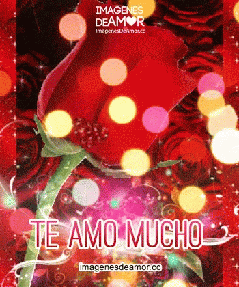 Amor GIF. This 350 x 420 animated GIF is part of our frases de amor collection. View the original animation, share it, or browse related GIFs.