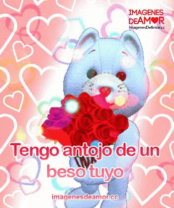 Amor GIF