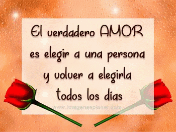 Amor Rose GIF. This 350 x 262 animated GIF is part of our frases de amor collection. Related themes include love. Created by YasminCorrea. View the original…