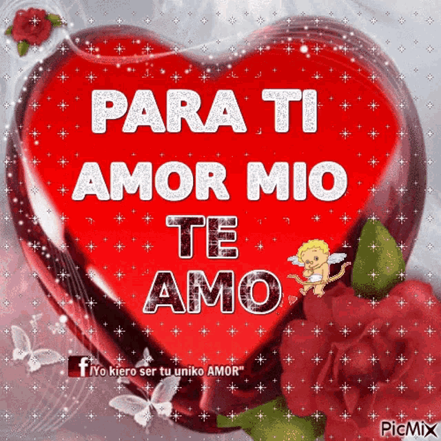 Amor Te Amo Para Ti Amor Mio GIF