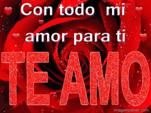Amor GIF