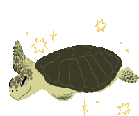 Amputee Sea Turtle Sticker