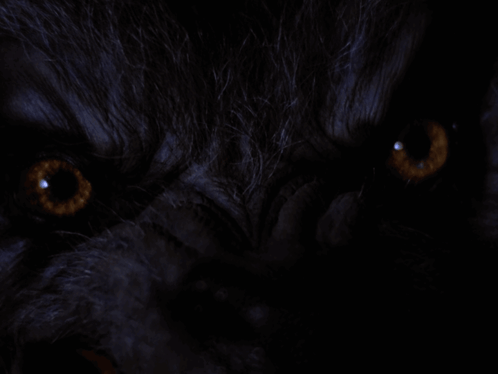 An American Werewolf In London Eyes GIF
