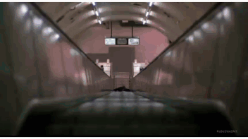 An American Werewolf In London John Landis GIF