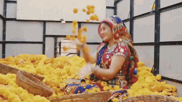 Anandi Shivangi Joshi GIF