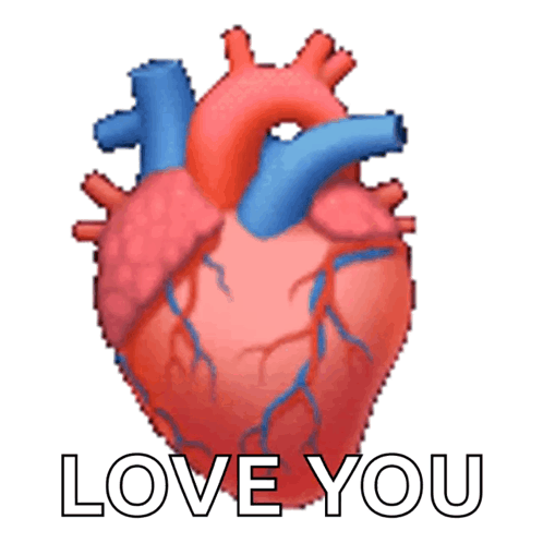 Anatomical Heart Beating Heart GIF