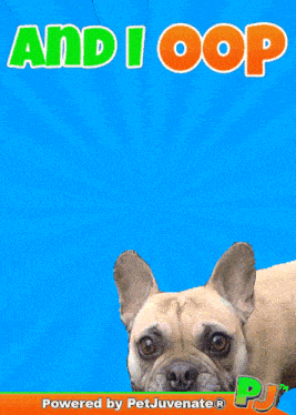 And I Opp Dog I Oop GIF
