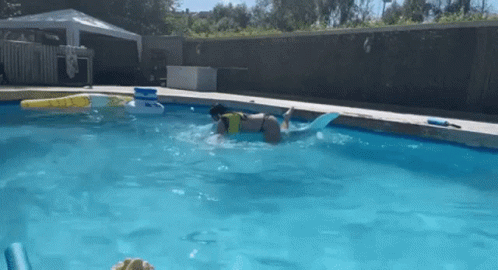 Aneward Shark GIF