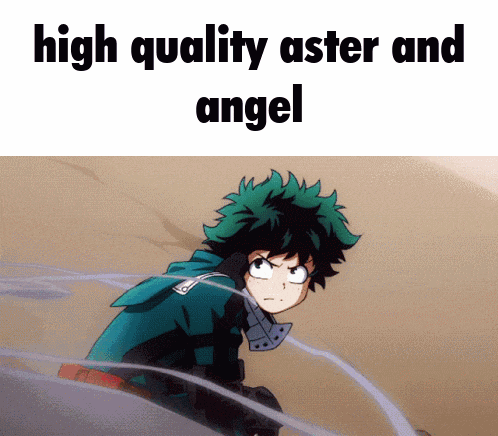 Angel And Aster Midoriya Izuku GIF