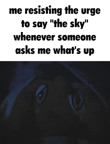 Angel Hare Caption GIF