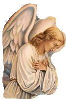 Angel Wings Sticker