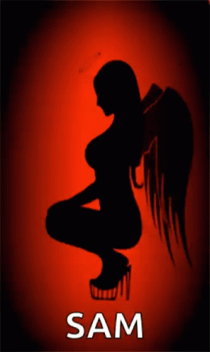Angel Wings GIF