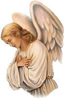 Angel Wings Sticker