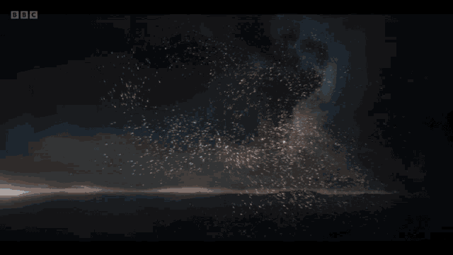 Angels Humans GIF
