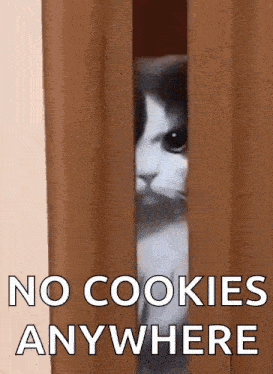 Angry Angry Cat GIF