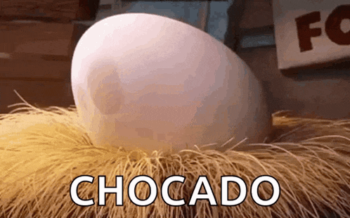 Angry Bird Baby GIF