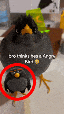 Angry Bird GIF