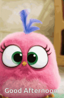 Angry Birds Good Afternoon GIF