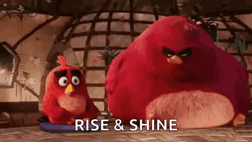 Angry Birds Movie Red Flag GIF