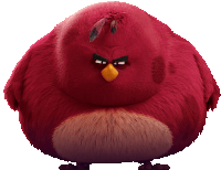 Angry Birds Sticker