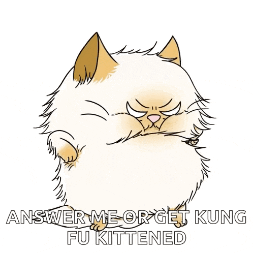 Angry Cat Persian Cat GIF