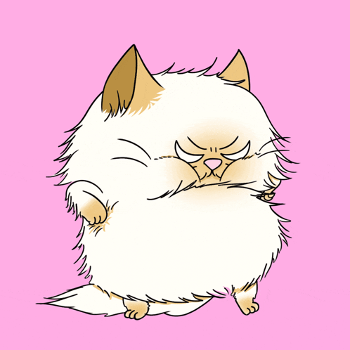Angry Cat Persian Cat GIF. This 498 x 498 animated GIF is part of our cute tantrum collection. Created by Filteryou. View the original animation, share it…