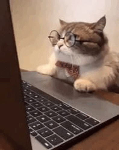 Angry Hiss GIF. This 395 x 498 animated GIF is part of our crazy typing collection. Related themes include angry. Created by DorothyTouponce. View the…