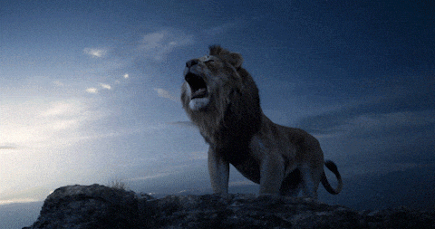 Angry Lion GIF