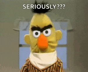 Angrybert Seriously GIF