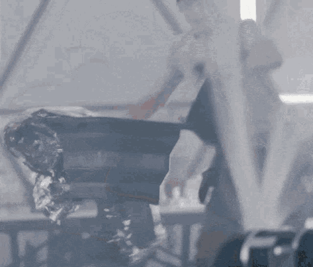 Angus The Ark GIF
