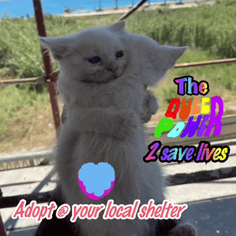 Animal Animal Hugs GIF. This 480 x 480 animated GIF is part of our hug meme collection. Related themes include animal. Created by iamuaremod. View the…
