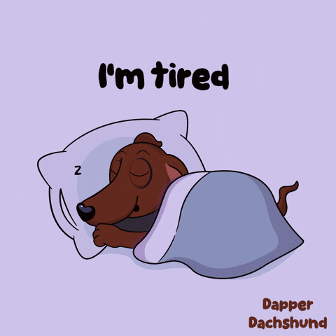Animal Asleep GIF