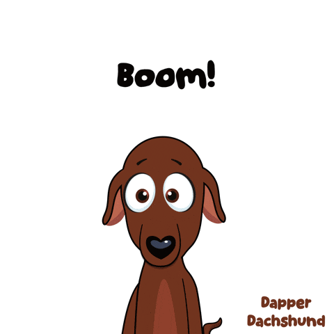 Animal Boom GIF