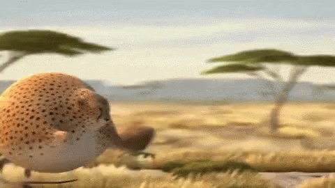 Animal Bounce GIF
