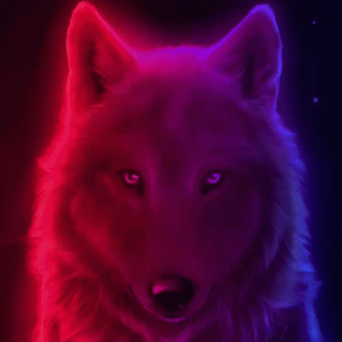 Animal GIF