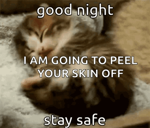 Animals With Captions Good Night Animal GIF