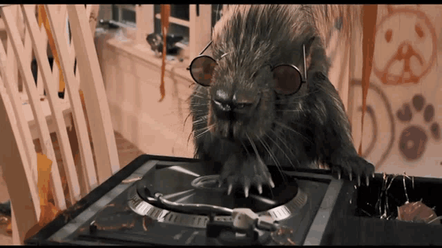 Animalwars Rap GIF
