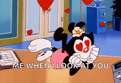 Animaniacs Dot GIF