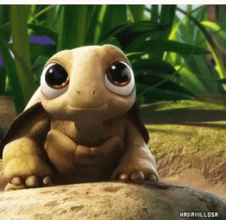 Animated Big Eyed GIF