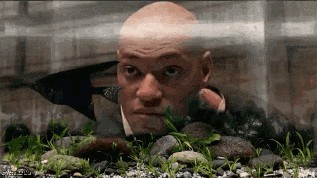Animation Joke GIF