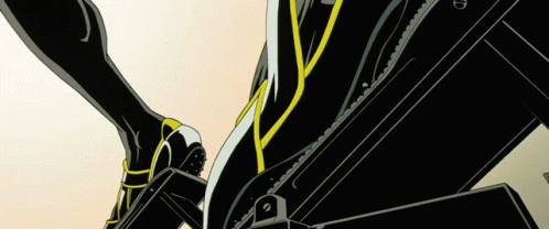 Animatrix World Record GIF