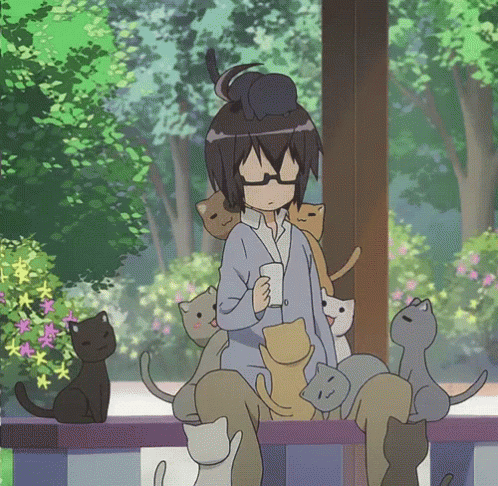 Anime Acchi Kocchi GIF