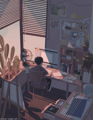 Person typing at a desk in a room with sunlight and blinds casting shadows.