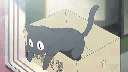 Anime Cat Cat Box GIF
