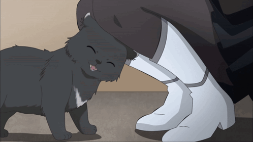 Anime Cat GIF