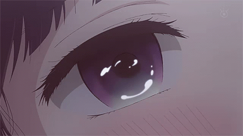 Anime Cry GIF