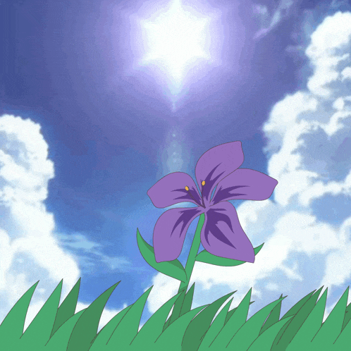 Anime Flower Animeflower GIF