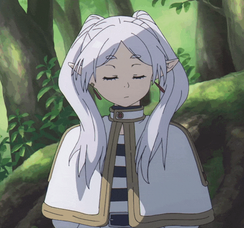 Anime Frieren GIF