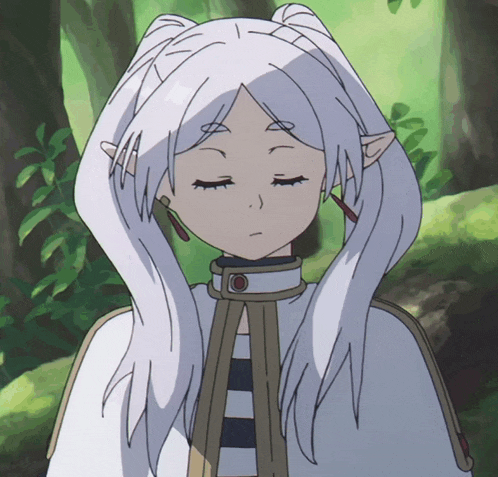 Anime Frieren GIF