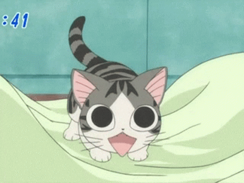 Anime Kitteh GIF